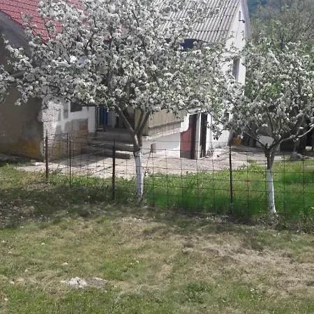 Rosnjace Dom wakacyjny *